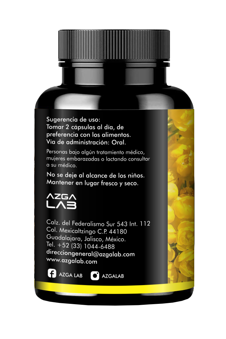 BERBERINA 60 capsulas 500mg AZGA LAB