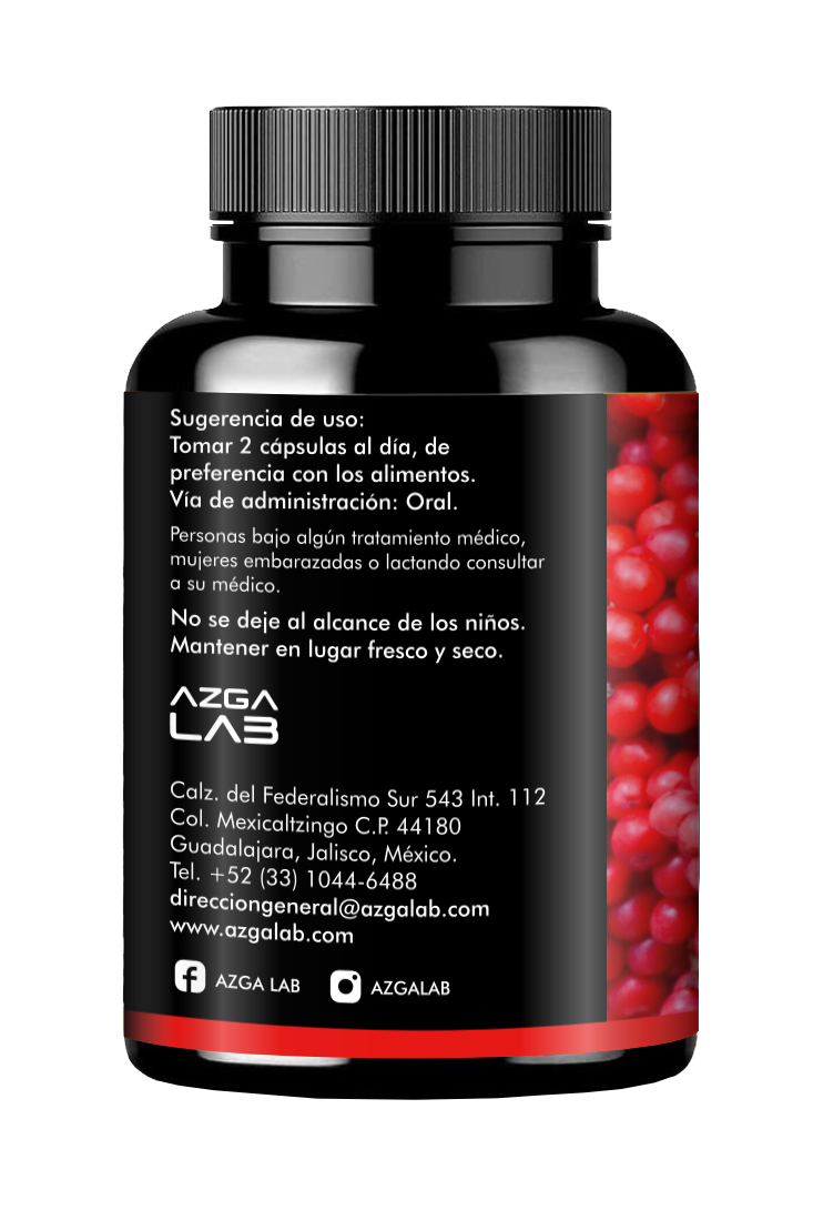 SCHISANDRA 60 capsulas 500mg AZGA LAB